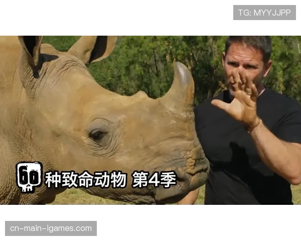 纪录片《德甲60年》将于四月在流媒体平台首播